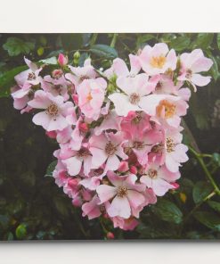 Roomblooms, Rambling Roses, Print on Canvas, 600x900mm, Custom Packaging