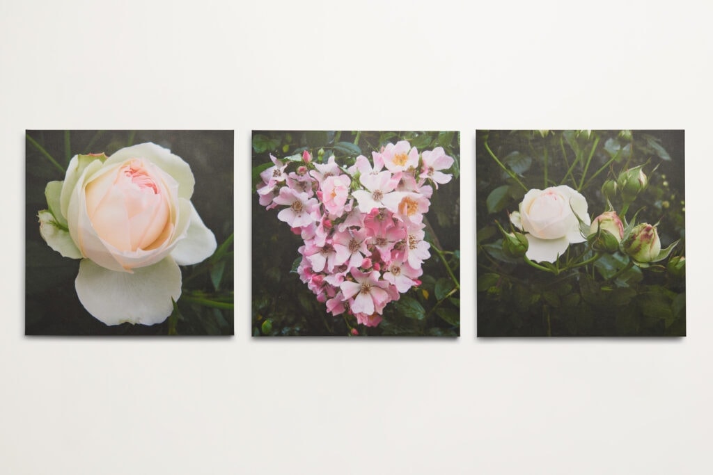 Roomblooms, wall art