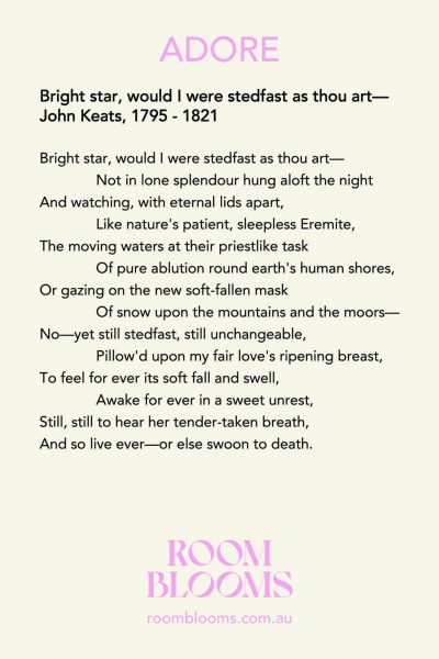 Roomblooms, A Gift from the Heart. For the one you ADORE. Valentine's Day gift to show you adore. Reveal you adore. John Keats Bright star would I were stedfast as thou art